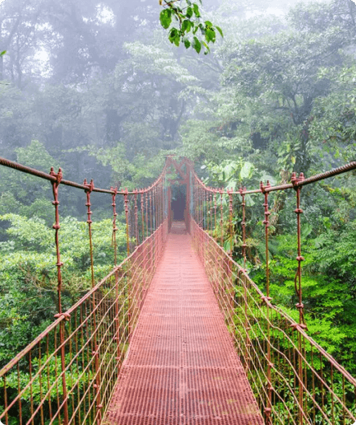 A red bridge with green trees in the background